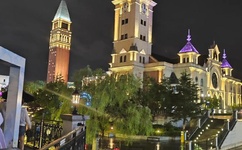 老女人愉情免费视频